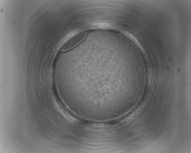 X0000084050439200703022219