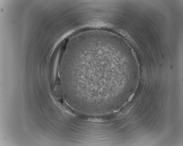 X0000084050440200703022219