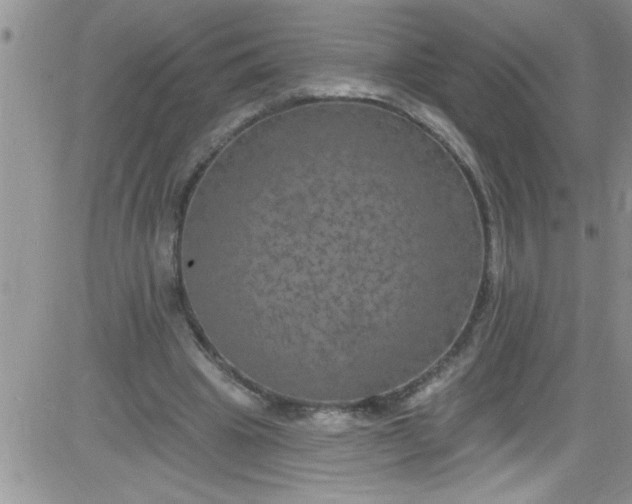 X0000084050441200703022219