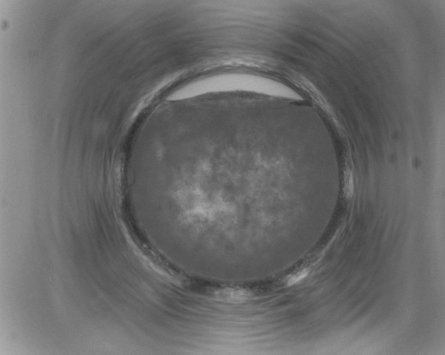 X0000084050444200703022219