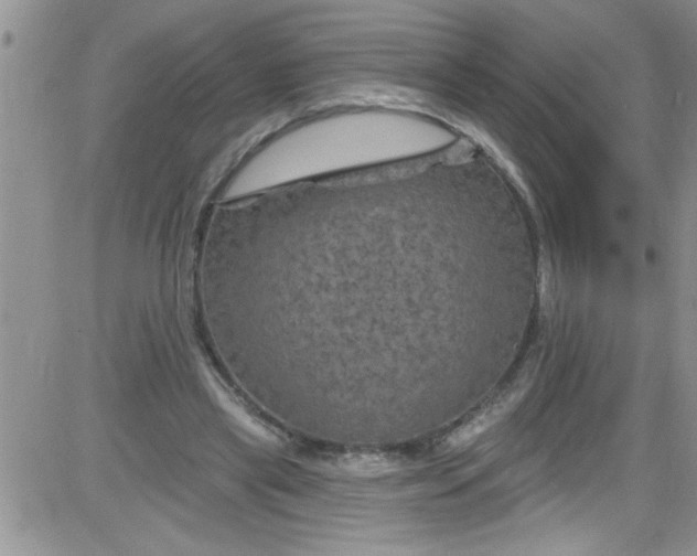 X0000084050445200703022219