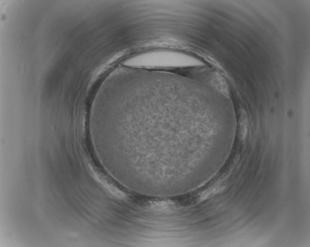 X0000084050446200703022219