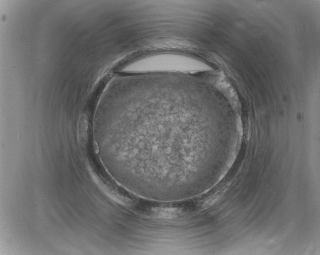 X0000084050448200703022219