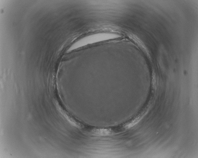 X0000084050449200703022219