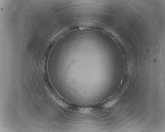 X0000084050450200703022219