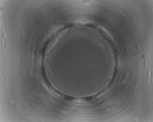 X0000084050451200703022219