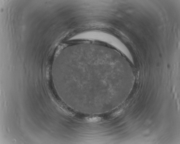 X0000084050452200703022219