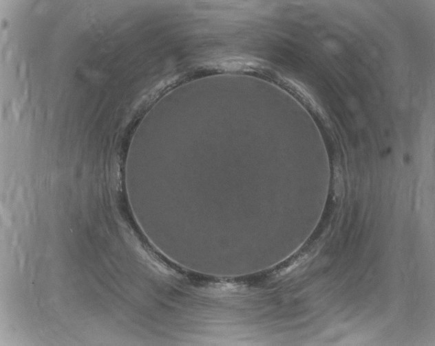 X0000084050453200703022219