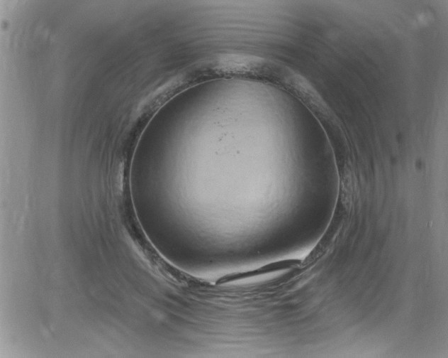 X0000084050454200703022219