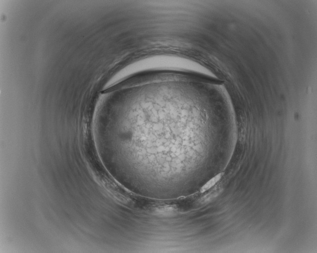 X0000084050456200703022219