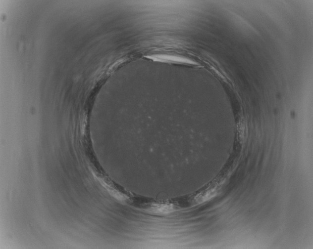 X0000084050458200703022219