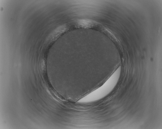 X0000084050459200703022219