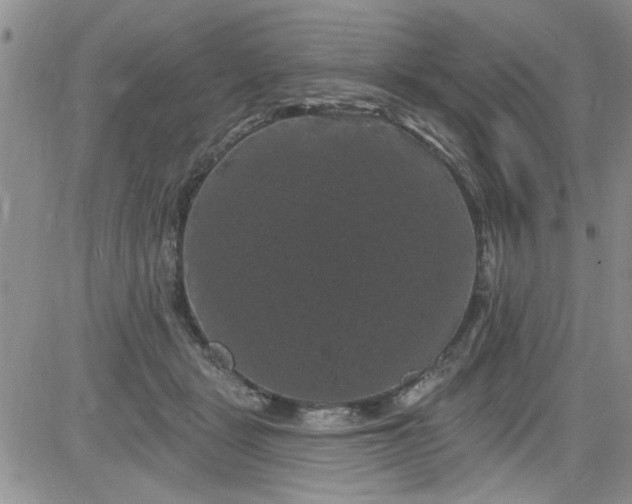 X0000084050461200703022219