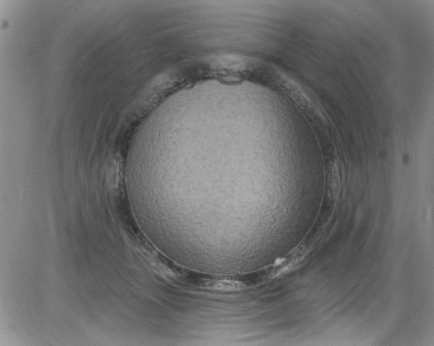 X0000084050463200703022219