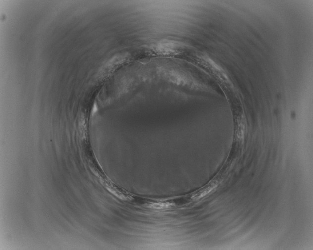 X0000084050465200703022219