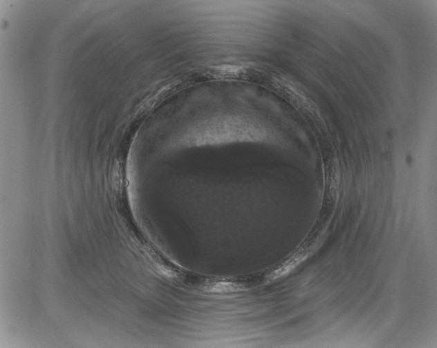 X0000084050467200703022219