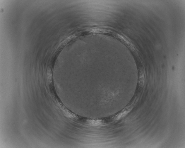 X0000084050469200703022219