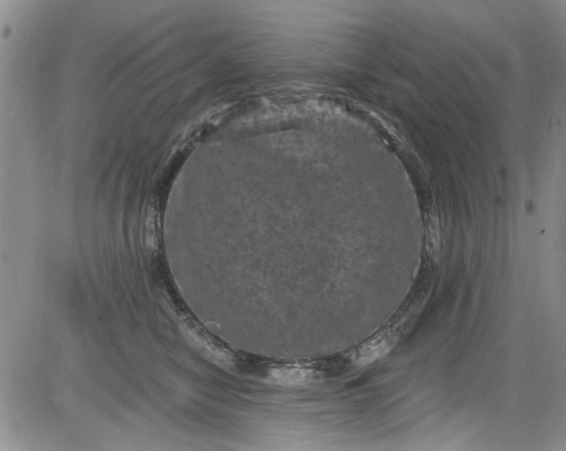 X0000084050470200703022219