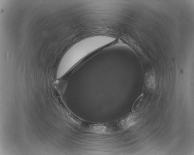 X0000084050471200703022219