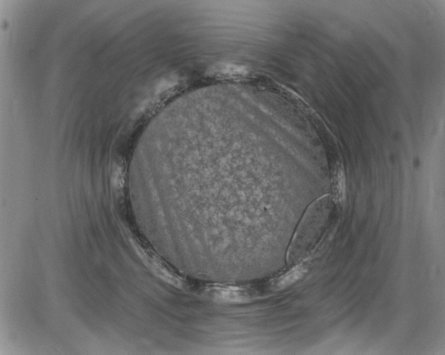 X0000084050472200703022219