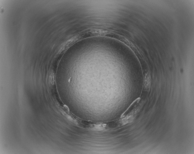 X0000084050474200703022219