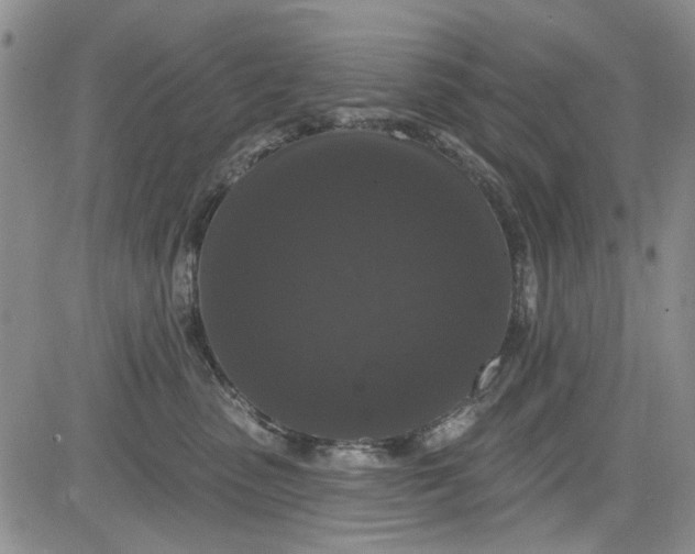 X0000084050475200703022219