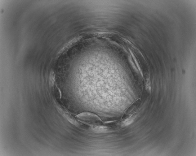 X0000084050476200703022219