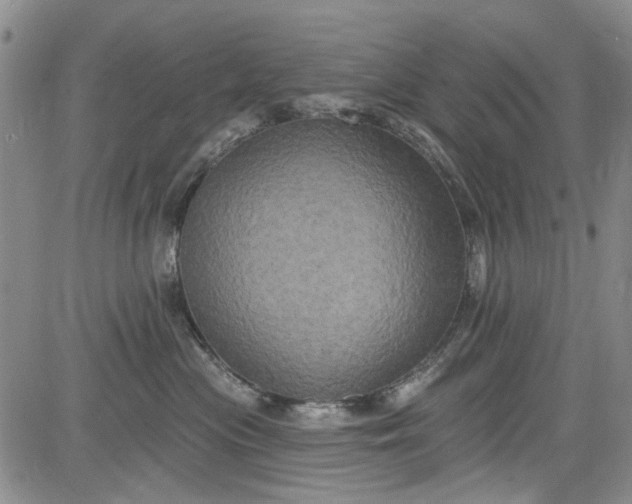 X0000084050477200703022219