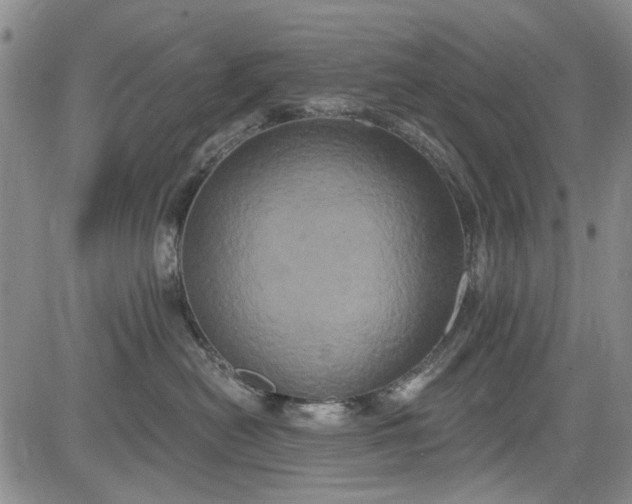 X0000084050478200703022219