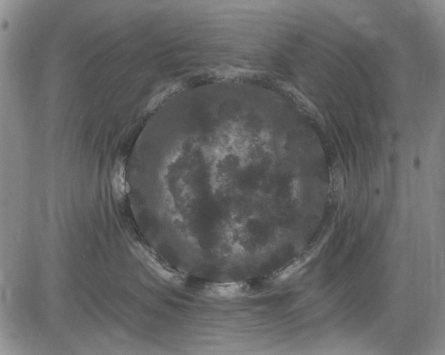 X0000084050479200703022219