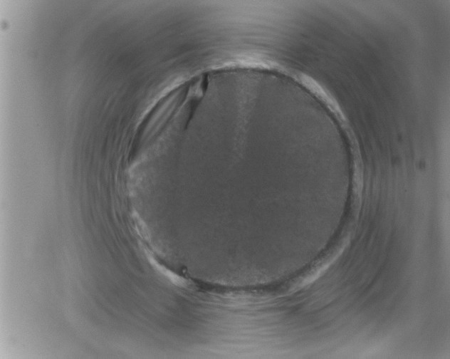 X0000084050481200703022218