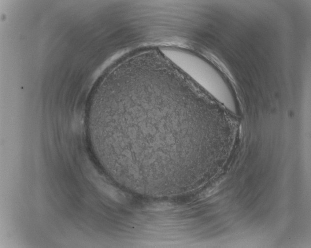 X0000084050483200703022218