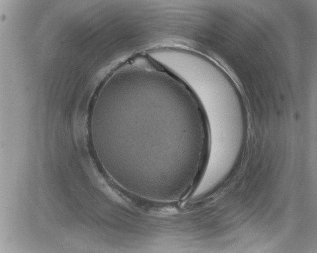 X0000084050485200703022218