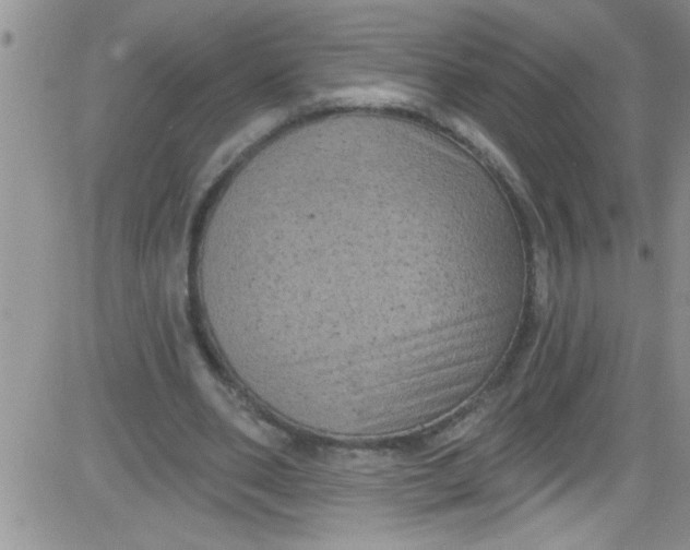 X0000084050486200703022218