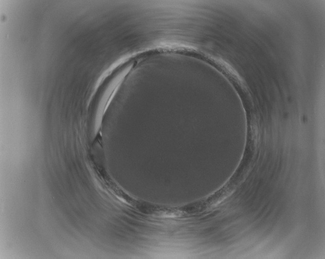 X0000084050488200703022218