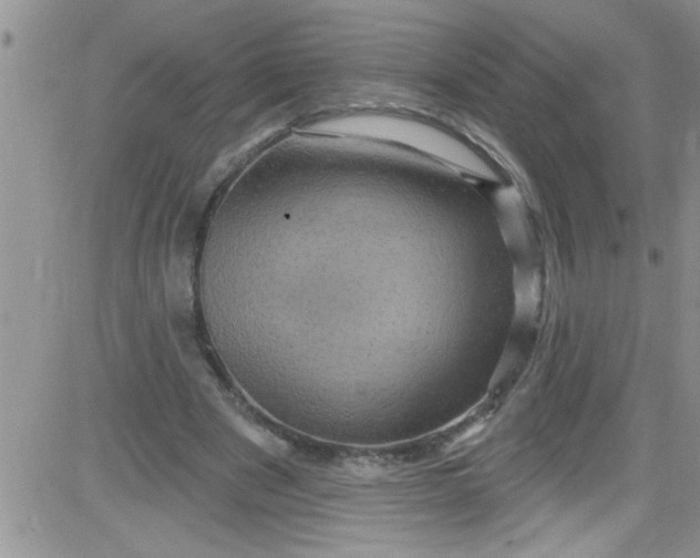 X0000084050489200703022218