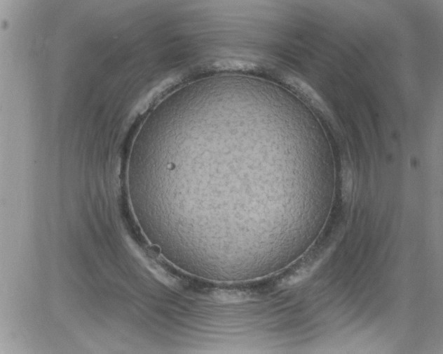 X0000084050490200703022218