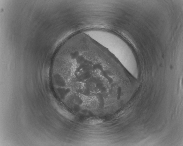 X0000084050491200703022218