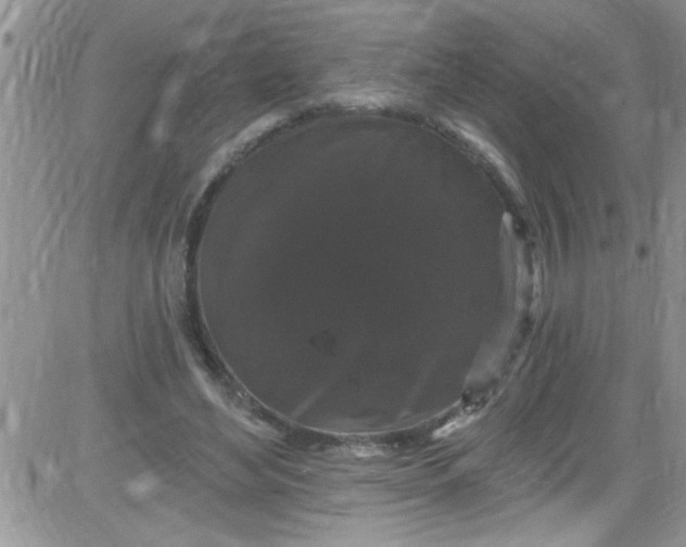 X0000084050492200703022218