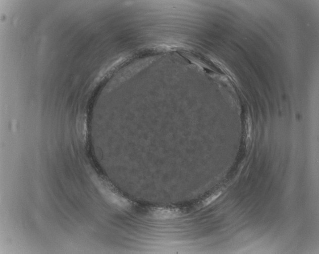 X0000084050494200703022218