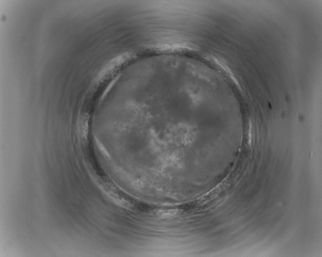 X0000084050495200703022218