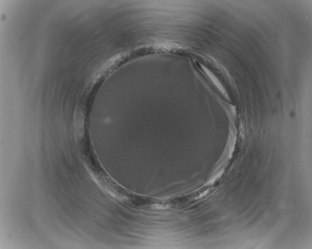 X0000084050496200703022218