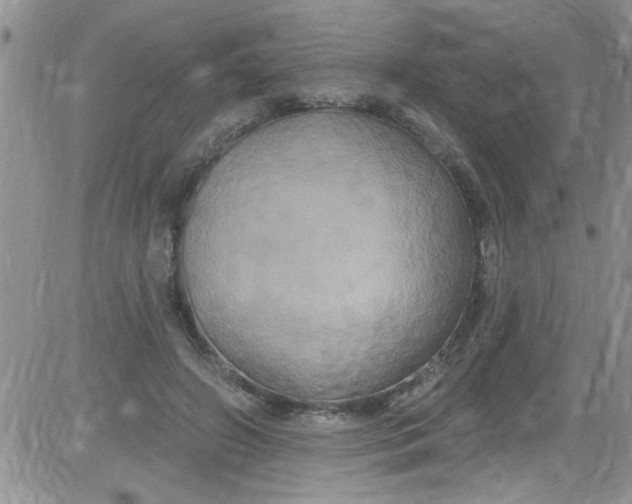 X0000084050498200703022218