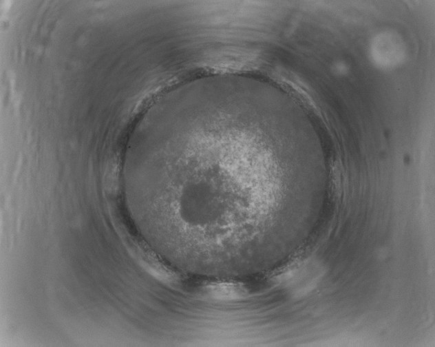 X0000084050499200703022218