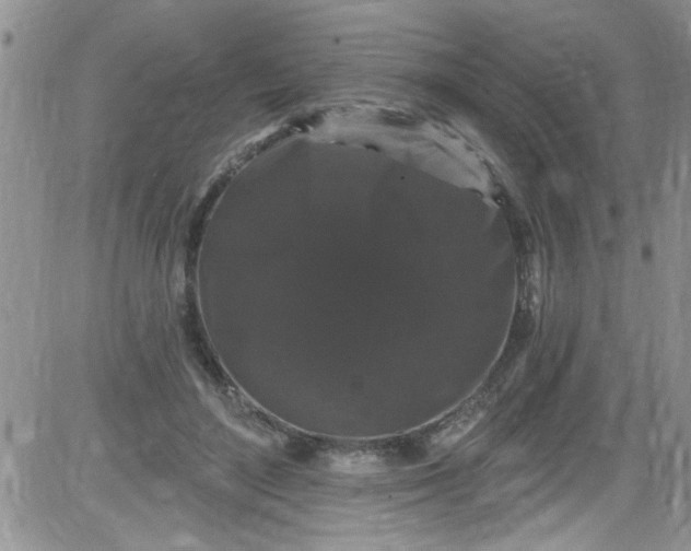 X0000084050500200703022218