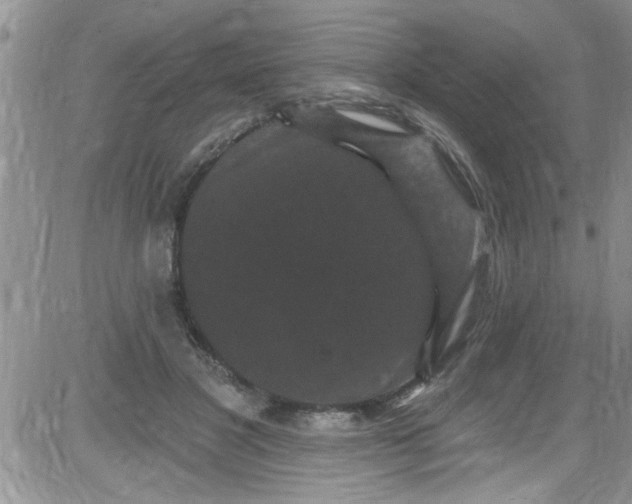 X0000084050501200703022218