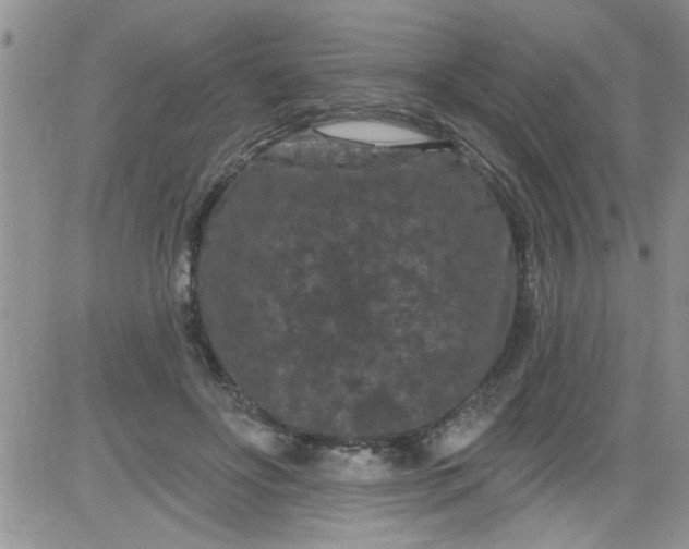 X0000084050502200703022218