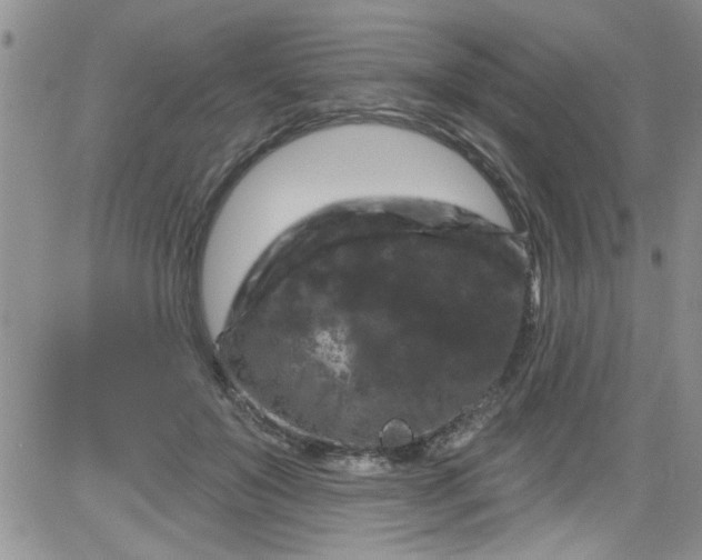 X0000084050503200703022218