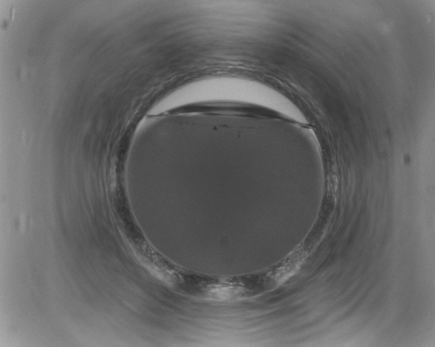 X0000084050504200703022218