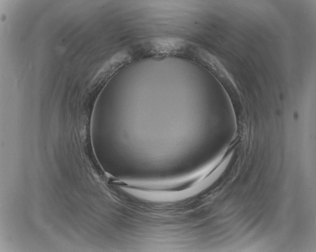 X0000084050505200703022218